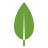 skill_png